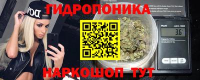 a pvp Гусев